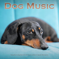 Peaceful Piano Music for My Dog - Dog Music & Dog Music Therapy & Sleeping Music For Dogs