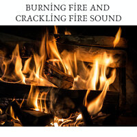 Burning Fire Log - Loopable Radiance & Crackling Fire Sound
