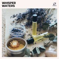 Calm Wisdom - Massage Music & Wellness Spa Music Oasis & Massage Music Temple & Calm Spa