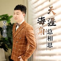 天涯海角总相思 - 望海高歌