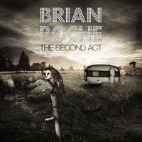 It's in the Way - Brian Roche