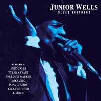 Snatch It Back and Hold It - Junior Wells & Joe Louis Walker