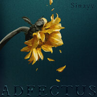 Bande Annonce - Sinayy