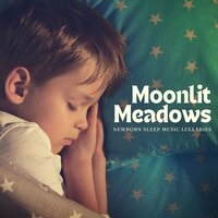 Gentle Hush - Newborn Sleep Music Lullabies