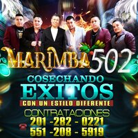 Roberto Ruiz - Marimba 502