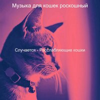 Мечты (Расслабляющие кошки) - Музыка для кошек роскошный
