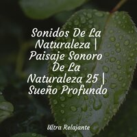 Visiones Doradas - Canciones Para Niños & Musica Relajante Para Dormir & Piano para Relajarse