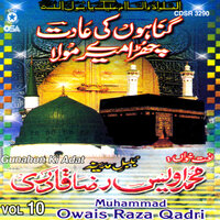 Sarwar Kahoon Ke Malik-e-M - Alhaj M. Owais Raza Qadri