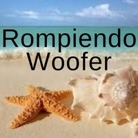 Rompiendo Woofer - Dj Mix Urbano