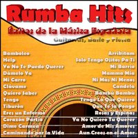 Tiburón - Amigos Latinos