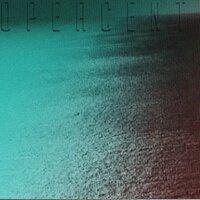 covered in spiders - Cat Soup