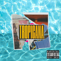 Tropicana - Phundo Art