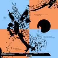 DV1 - NX1