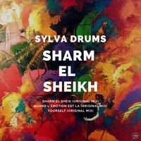 Quand l'émotion est la - Sylva Drums