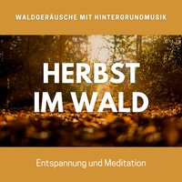 Regenerationszeit - Friedlich Helge
