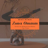 Sons de Cura - André Zen Pássaros