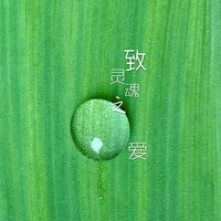 将进酒 - 张恬