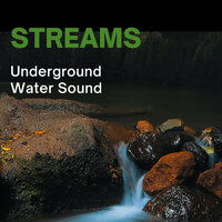 Crickets Noise - Miracle Tones & Binaural Landscapes & Concentration Music for Work