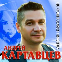 Не сомневайся никогда - Андрей Картавцев