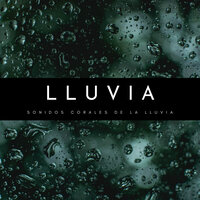 Lluvia Suave - Sonido de lluvia & Lluvia & Calma