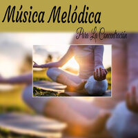 Paloma Blanca - Musica para Concentrarse