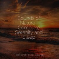 Soft Droplets - Trouble Sleeping Music Universe & Music to Relax in Free Time & Relaxation Music Guru