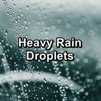 Summer Rain To Help with Insomnia For Good Rest - Rain Relax & Relax My Dog & Relax Meditation