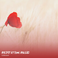 Cloud Regeneration - Meditation Music Club, Meditation and Stress Relief Therapy, Sleep Meditation Dream Catcher & Sleep Meditation Dream Catcher & Meditation Music Club & Meditation and Stress Relief Therapy