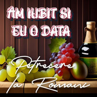 Moldova mea frumoasa - Petrecere la Romani