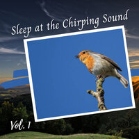 Lomi Lomi Massage - Asian Zen Spa Music Meditation & Study Music Library & Relaxing Classical