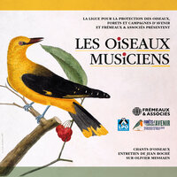 L'écoute des oiseaux exotiques - Jean-Claude Roché