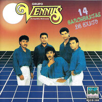 El Necio - Grupo Vennus