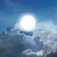 TRUE IMAGO - LTC