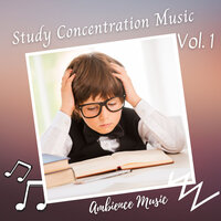 Music On My Room - Study Playlist & Music For Studying and Concentration & Relaxing Radiance
