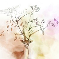 Dreaming - Stenbit