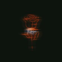 夜玫瑰 - 仁辰 & 于行