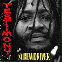 If We Are the Future - ScrewDriver