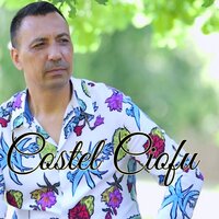 De-Ar Fi Sa Am Zile Bune - Costel Ciofu