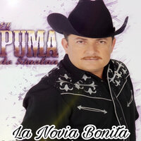 Sere Tu Dueno - El Puma De Sinalóa
