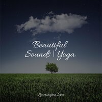 Low Frequency Waves - Wave Sound Group & Baby Lullabies Music & Nature Music Pregnancy Academy