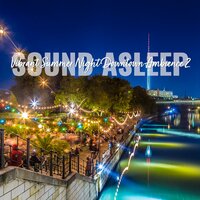 Vibrant Summer Night Downtown Ambience, Pt. 4 - Elijah Wagner