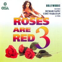 Dil Kyoon Dhark - Anupama Deshpande & Kumar Sanu & COLLIN