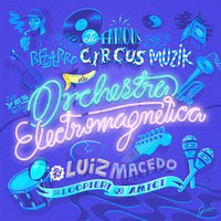 No Galinheiro (feat. Guilhermoso Wild Chicken) - Luiz Macedo & Guilhermoso Wild Chicken