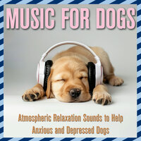 Zen - Dog Music Dreams & Relax My Dog