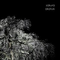 Sakura - Akatuki