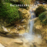 Babbling Brooke and Tropical Forest Streaming - Meditating Music - Entspannungsmusik Akademie