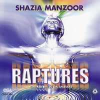 Jan-e Jaan - Shazia Manzoor & DJ Dreamstars