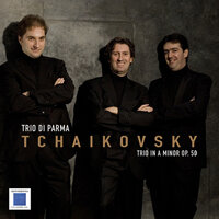 Trio in A Minor, Op. 50 in A Minor: Variazione IX : Andante flebile ,ma non tanto - Trio di Parma