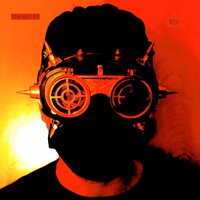 Polarity - Domingo Cava