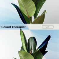 Sweetly - Sound Therapist